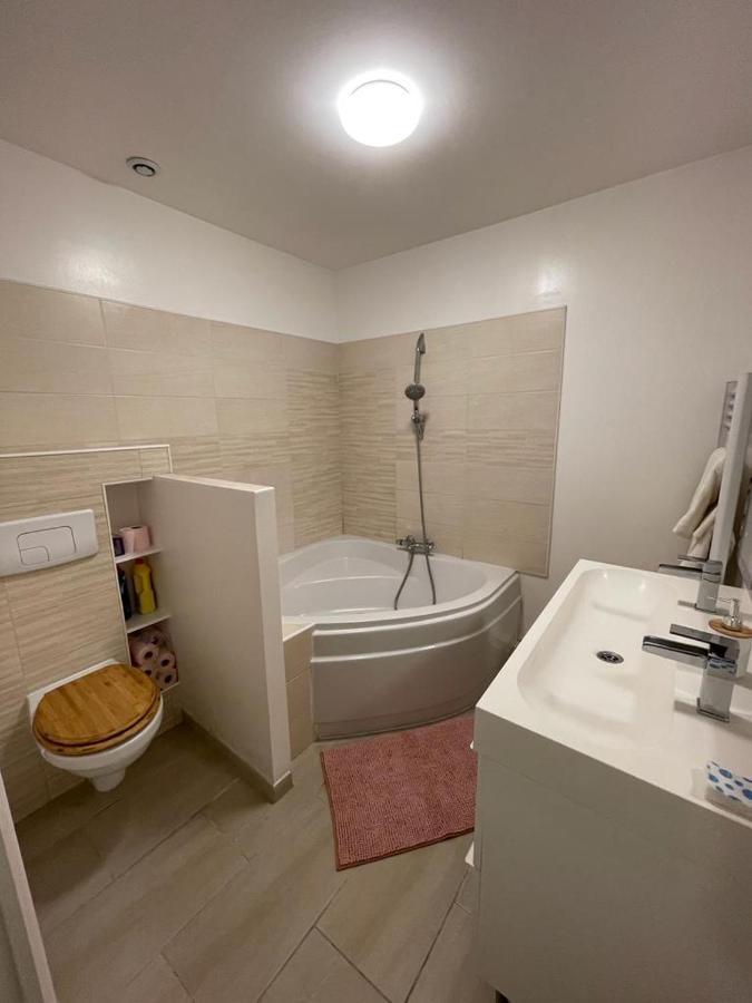 Bel Appartement Grande Terrasse Avec Parking A Дижон Экстерьер фото